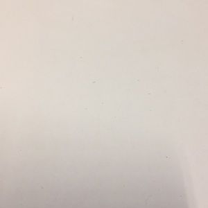 Meet your Posher, Santos